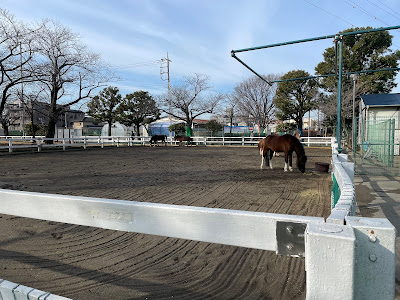 ふれあい動物広場 사진 4