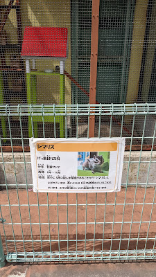 ふれあい動物広場 사진 3