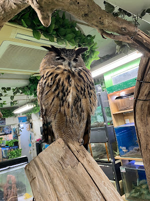 ZOO Shin-Okubo 사진 4
