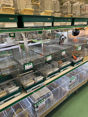ZOO Shin-Okubo 사진 3