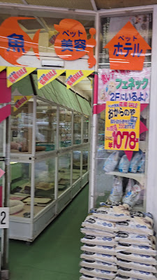 ZOO Shin-Okubo 사진 2