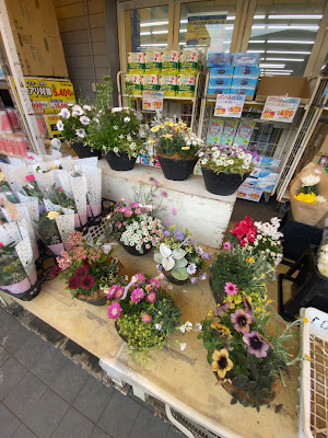 Matsumoto Kiyoshi Nerima Kasugacho 사진 3