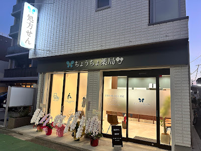 Chocho Pharmacy 사진 3