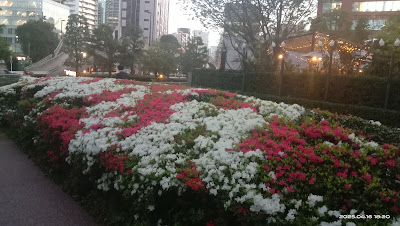 Granpark 사진 4