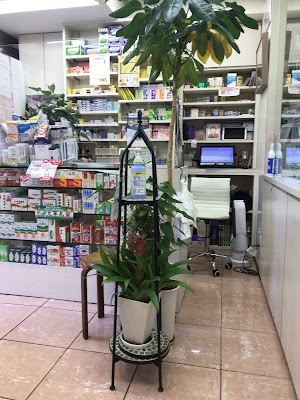 Tomiya Pharmacy 사진 5