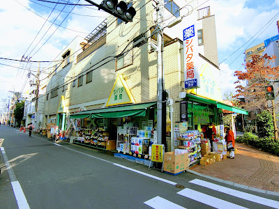 Shibata Pharmacy 사진 3