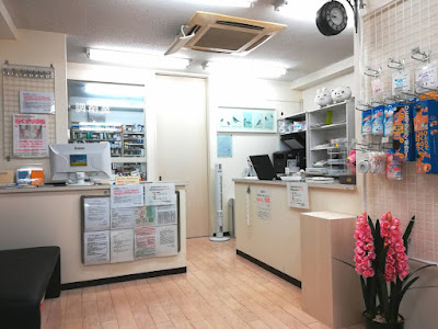 Natsume Pharmacy 사진 2