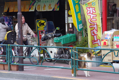 Drug Papas Minaminagasaki 사진 5