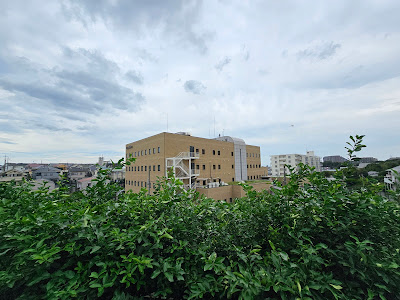 주식회사 마츠모토 키요시 본사 사진 3