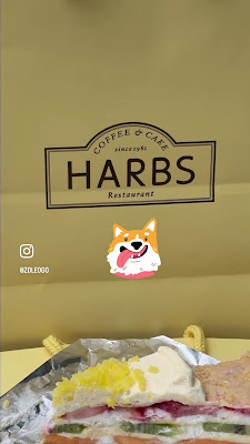 하브스 사진 2