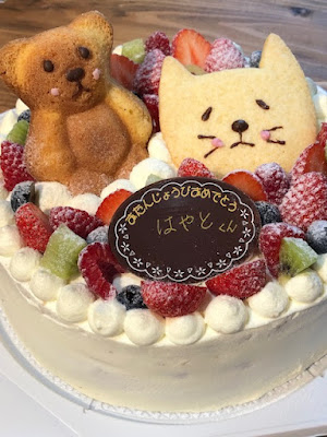 Bear Bear 사진 2