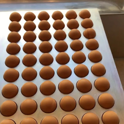 아오이렌가 사진 2
