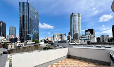 MX Hotel Roppongi 사진 5