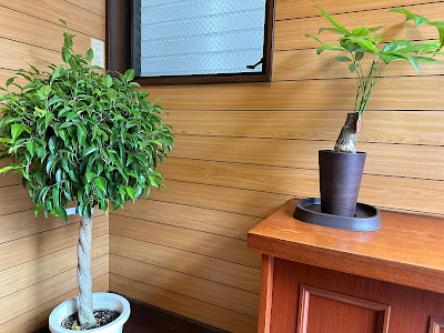 Asakusa Riverside Family Inn 사진 4