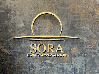 Sora 사진 3