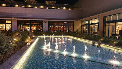 Villa Fontaine Grand Tokyo Ariake 사진 3
