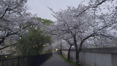 후나토미즈베 공원 사진 2