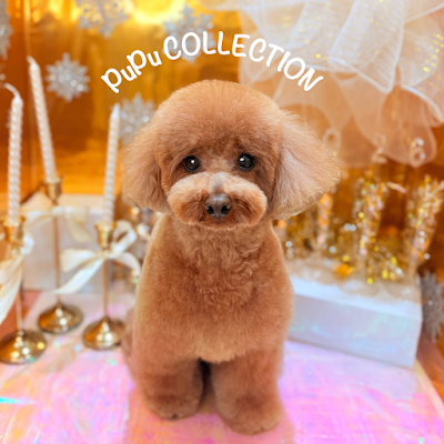 PuPu COLLECTION 사진 4