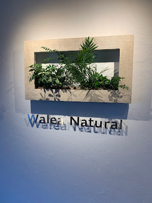 Walea Natural Aroma therapy & Spa 사진 2