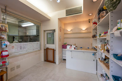 NATURAL PET SALON dog&spa 사진 3