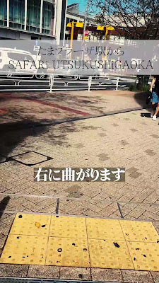 SAFARi UTSUKUSHIGAOKA 사진 2