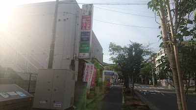 LAVA 사진 5
