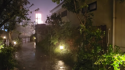 Mizonokuchi hot spring Kirari 사진 2
