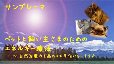 Holistic Care Therapy Salon 《晏之癒》 사진 4