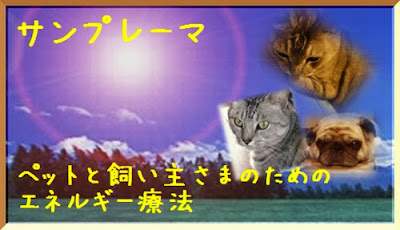 Holistic Care Therapy Salon 《晏之癒》 사진 5