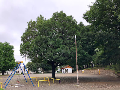 Arimakashinoki Park 사진 5