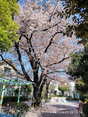 산노우이나호 아동공원 사진 5