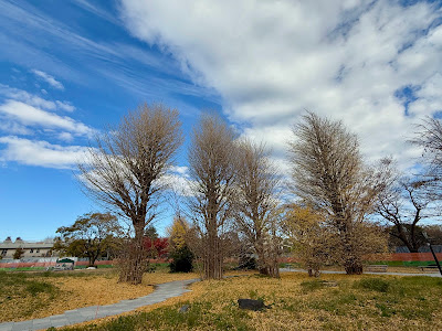 玉川野毛町公園（拡張エリア） 사진 5