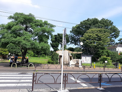 네코쟈라시 공원 사진 5