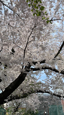 에산 공원 사진 5