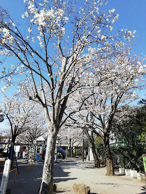 구와가와공원 사진 5