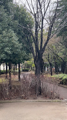 쿠츠로기노이에 공원 사진 5
