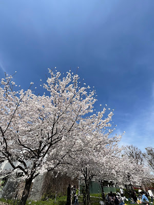 쇼케이바시 공원 사진 5