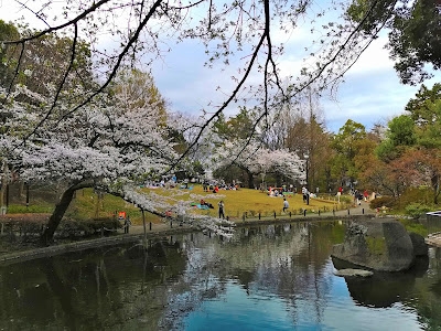 산시노모리 공원 사진 5