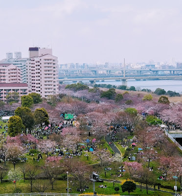 도립 오오지마코마츠가와공원 미끄럼틀 사진 5