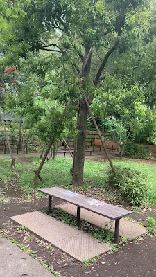 Musashino Shiritsu Kichijoji Nomori Miyamotoshoji Park 사진 5