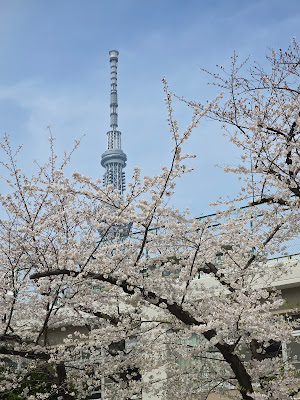 Yokogawa East Park 사진 5