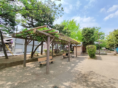오오스기 공원 사진 5