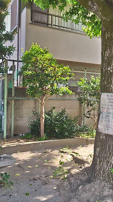 미츠와 공원 사진 5