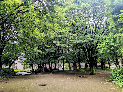 카시노키 공원 사진 5