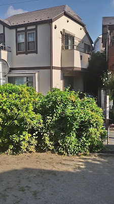 미스미 공원 사진 5