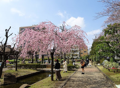 세세라기 공원 사진 5