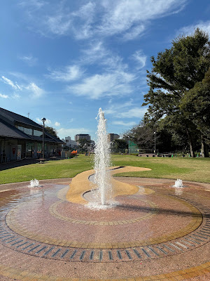 目白台運動公園 芝生広場 사진 5
