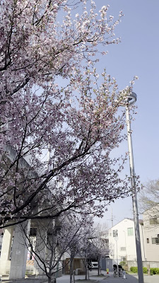 히이라기 공원 사진 5