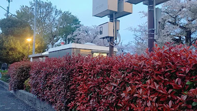 토키와다이 공원 사진 5