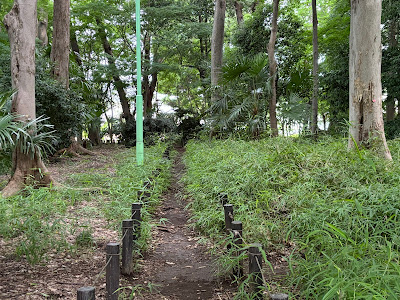 稲荷山憩いの森 사진 5